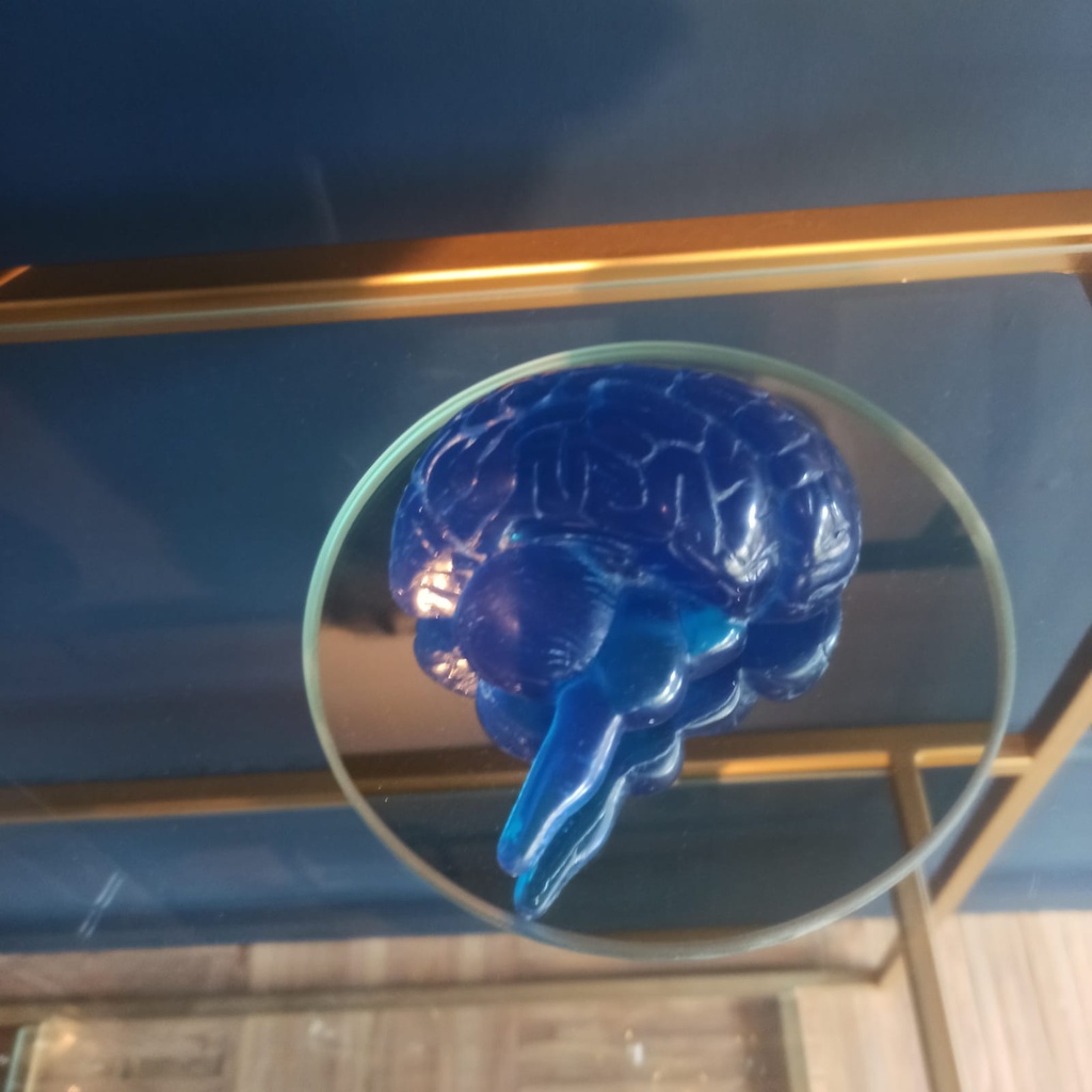Cerebro Azul Cabinet Oseo